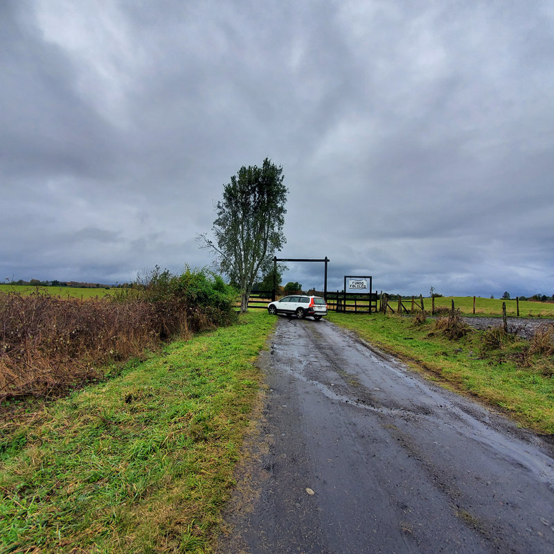 346 campo en venta 800 ha Valdivia invertir en terrenos en chile (25)