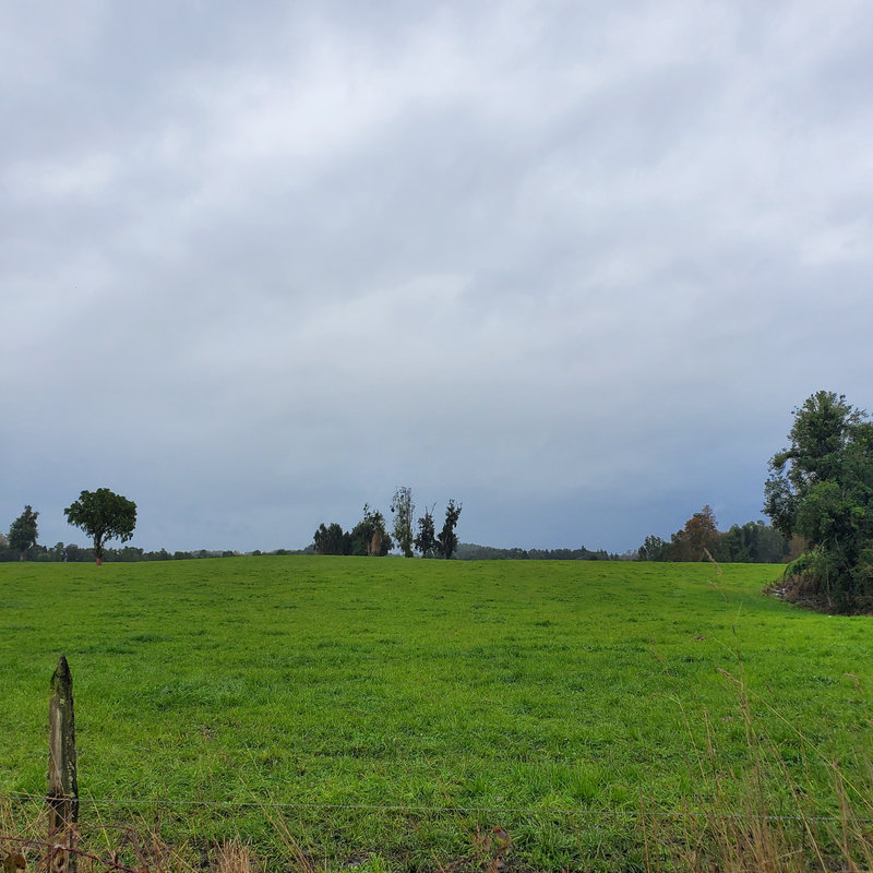 346 campo en venta 800 ha Valdivia invertir en terrenos en chile (43)